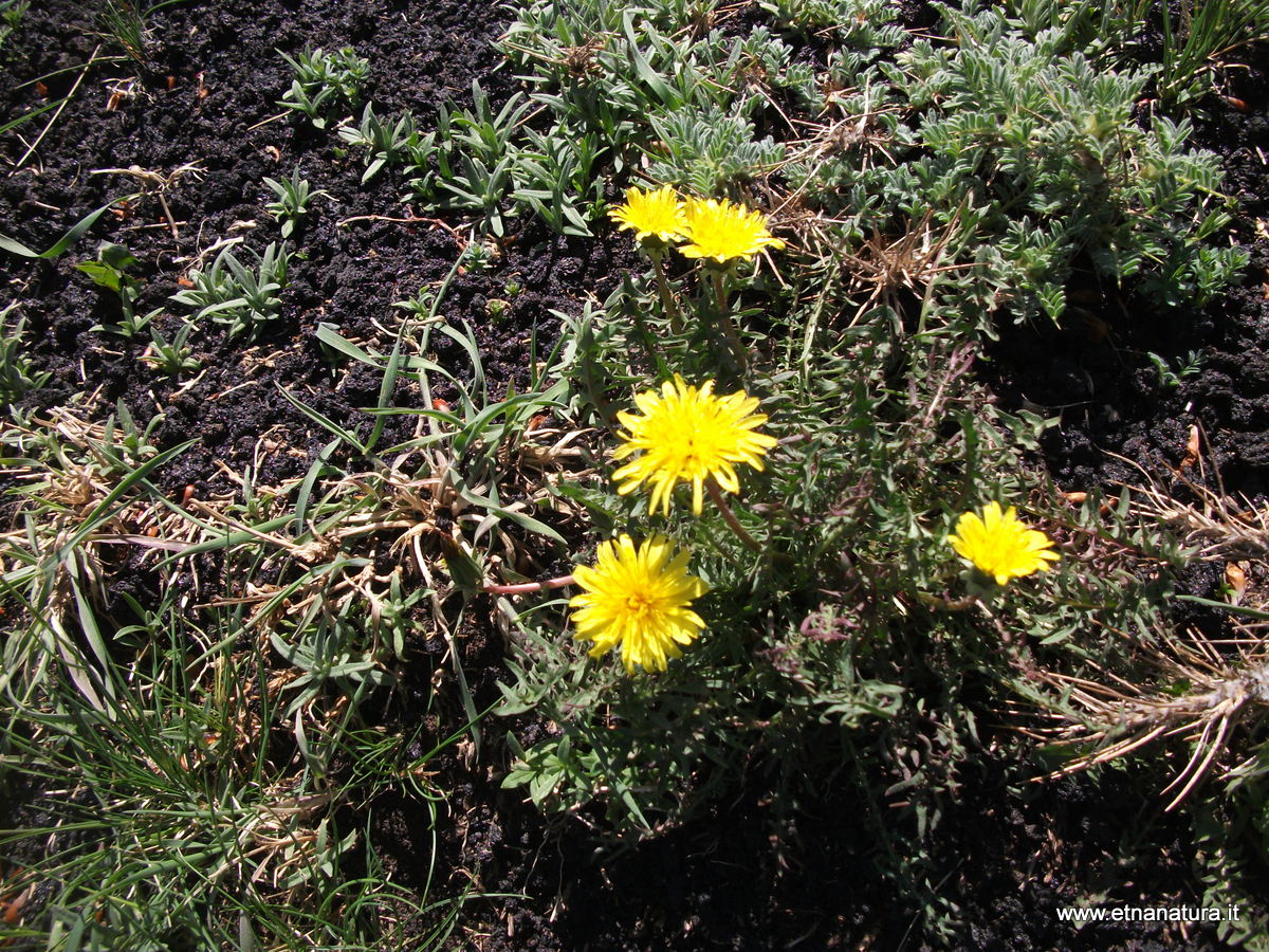 rra del Salifizio-15-05-2022 11-25-40